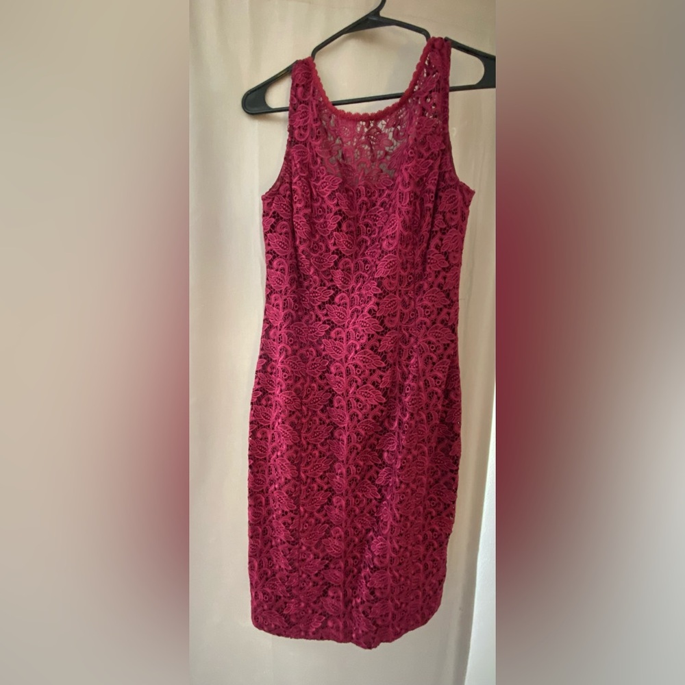 Elegant Pink Lace Dress